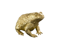 Picture of GOLDEN TOAD TALISMAN